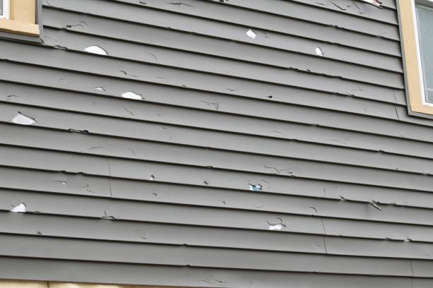 Best Historical Building Siding Restoration  in Granite Shoals, TX